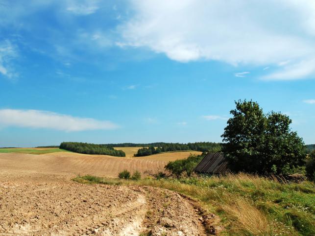 Cudzoziemcy wykupują polską ziemię
