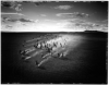 • Zdjęcie pojedyncze - II miejsce w kategorii SPORT
Autor: Tomasz Gudzowaty, Fundacja Yours Gallery
Mongolia. Wyścig konny z okazji narodowego święta Naadam w okręgu Baganuur w prowincji Ułan Bator.
15 sierpnia 2008