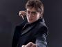 Harry Potter i Insygnia Śmierci: część I