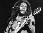 (Bob) "Marley" latem w Polsce