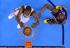 Thunder rozbili Lakers. Westbrook i Durant przyćmili Bryanta