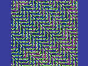 Animal Collective - Merriweather Post Pavilion