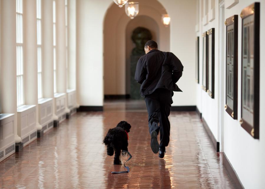 PREZYDENT BARACK OBAMA. NAJLEPSZE ZDJĘCIA DWÓCH KADENCJI